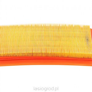 filtr powietrza dmuchawy Cifarelli BL1200