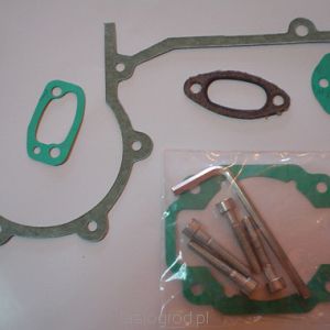 komplet uszczelek PS